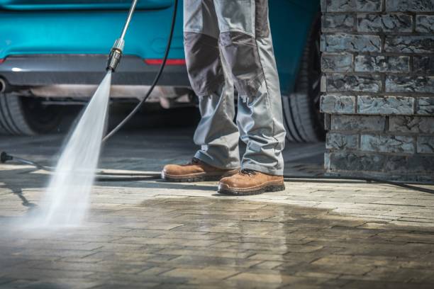 Best Driveway Pressure Washing  in Bellview, FL