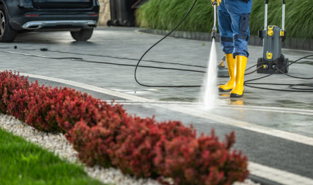 Best Building Exterior Washing  in Bellview, FL